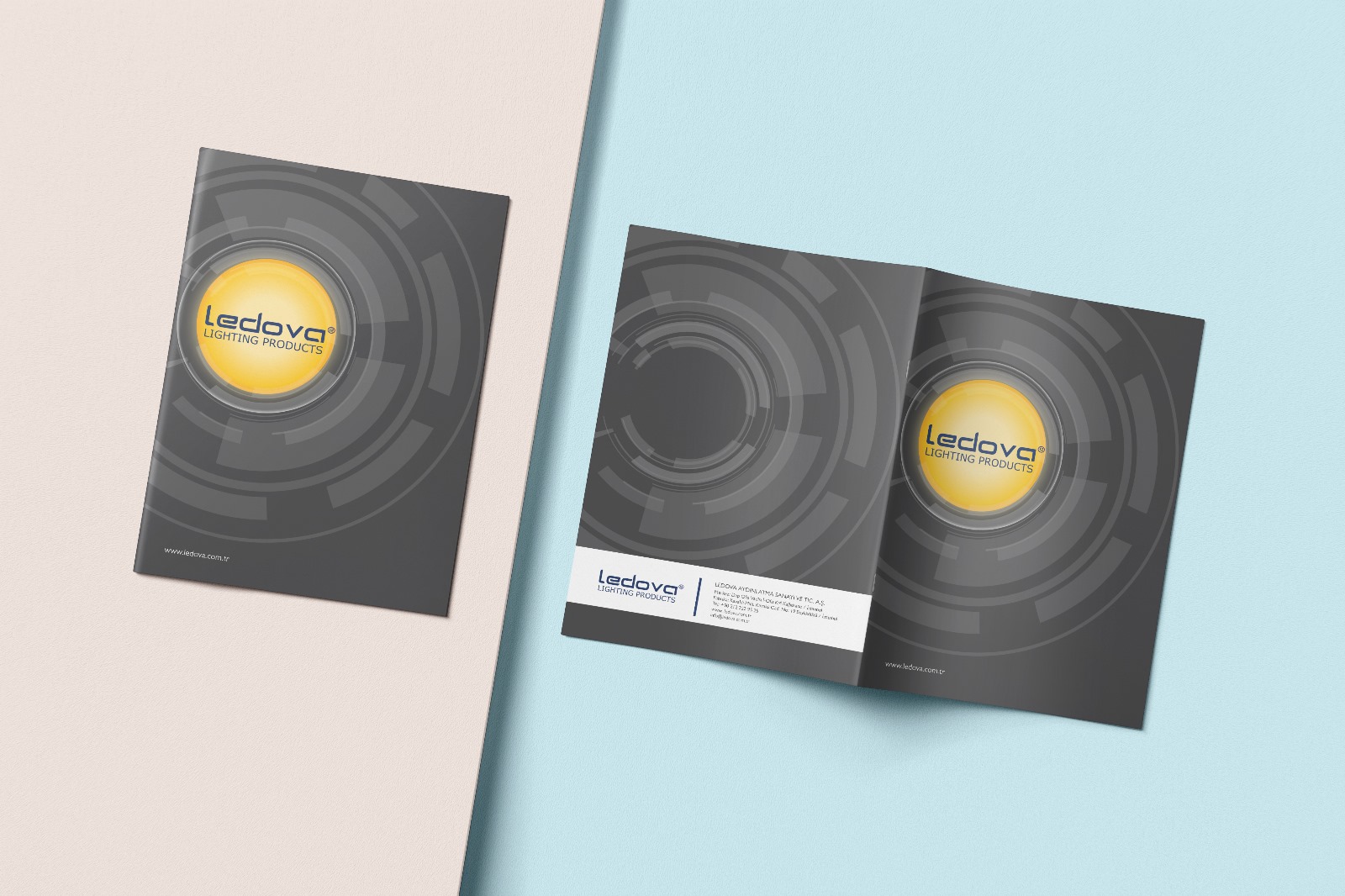 Ledova Katalog Tasarımı